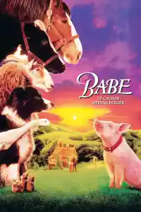 Jaquette : Babe, le cochon devenu berger