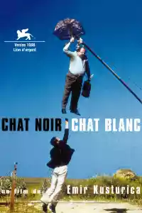 Jaquette : Chat noir, chat blanc
