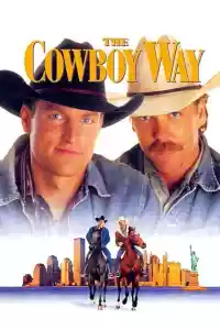 Jaquette : Deux Cowboys à New York