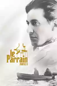 Jaquette : Le Parrain, 2e partie