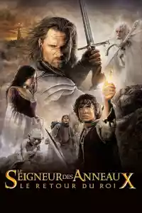 Jaquette : Le Seigneur des anneaux : Le Retour du roi