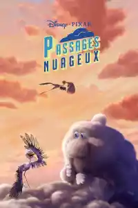 Jaquette : Passages nuageux