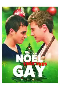 Jaquette : Un Noël très très gay