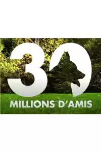 Affiche de la série 30 millions d'amis