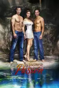 Affiche de la série Abîme de la Passion