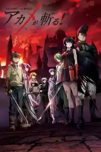 Affiche de la série Akame ga Kill!
