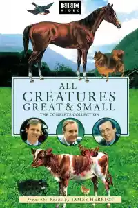 Jaquette : All Creatures Great and Small