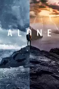 Affiche de la série Alone : les survivants