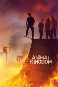 Affiche de la série Animal Kingdom
