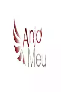 Affiche de la série Anjo Meu