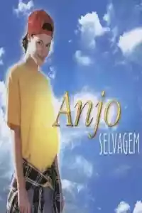 Affiche de la série Anjo Selvagem