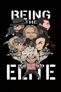 Affiche de la série Being The Elite