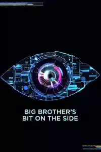 Affiche de la série Big Brother's Bit on the Side