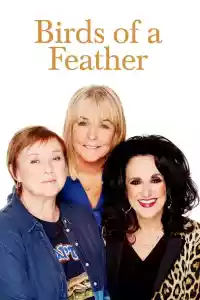 Affiche de la série Birds of a Feather