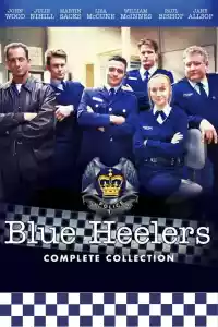 Affiche de la série Blue Heelers