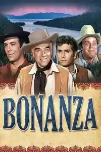 Jaquette : Bonanza