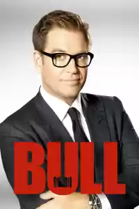 Affiche de la série Bull