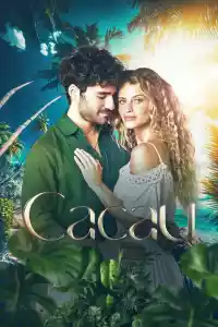 Jaquette : Cacau