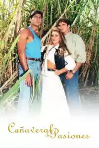 Jaquette : Cañaveral de Pasiones