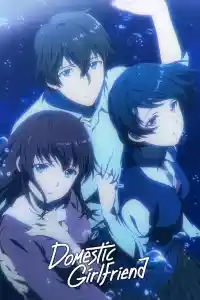 Affiche de la série Domestic na Kanojo