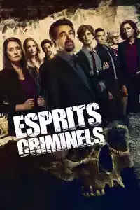 Affiche de la série Esprits criminels
