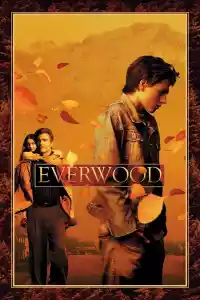 Affiche de la série Everwood