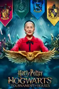 Jaquette : Harry Potter: Hogwarts Tournament of Houses