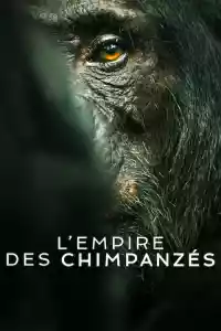 Jaquette : L'Empire des chimpanzés
