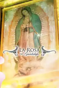 Affiche de la série La rosa de Guadalupe