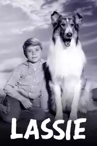 Jaquette : Lassie