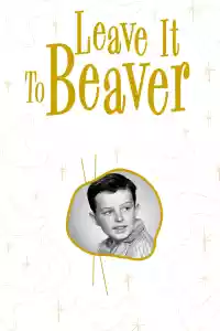 Jaquette : Leave It to Beaver