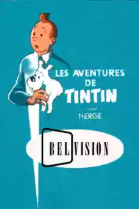 Jaquette : Les Aventures de Tintin, d'après Hergé