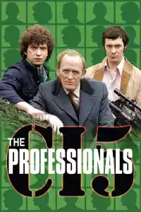 Jaquette : Les Professionnels