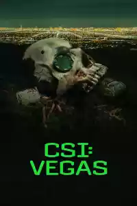 Affiche de la série Les experts : Vegas