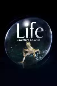 Affiche de la série Life, l'aventure de la vie