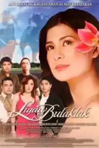Affiche de la série Ligaw na Bulaklak