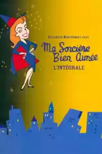 Jaquette : Ma Sorcière Bien-Aimée