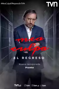 Affiche de la série Mea culpa
