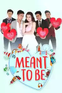 Jaquette : Meant To Be