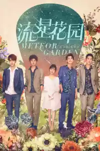 Affiche de la série Meteor Garden