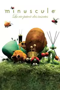 Affiche de la série Minuscule : La vie privée des insectes