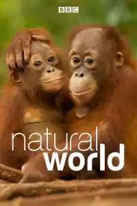 Affiche de la série Natural World