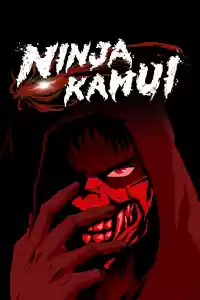 Jaquette : Ninja Kamui