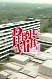 Jaquette : Pebble Mill at One