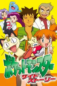 Affiche de la série Pokémon Chronicles