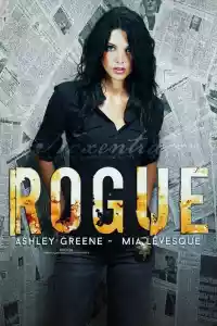 Affiche de la série Rogue