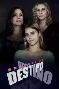 Affiche de la série Senhora do Destino