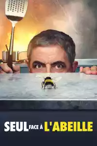 Jaquette : Seul face à l'abeille