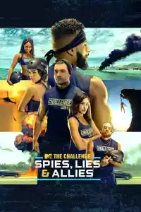 Affiche de la série The Challenge