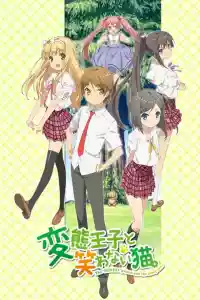 Affiche de la série The "Hentai" Prince and the Stony Cat